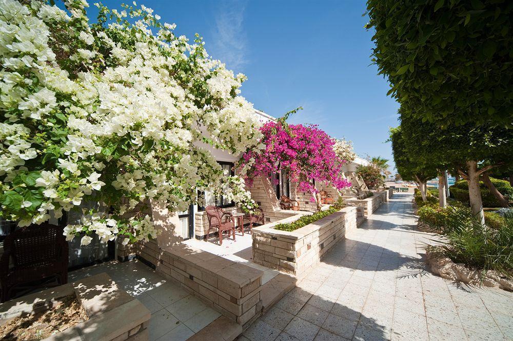 Smartline Colour Beach Hotel Hurghada Exterior photo